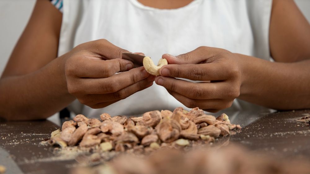 Top 18 Investment Sectors in Africa With Unprecedented Business Growth Potential, Agro Processing, Africa For Investors, Arise IIP SEZs.