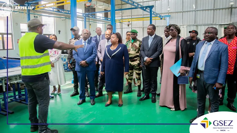 Gabon Ministers Explore Pharma, Wood Processing and Vocational Training Sectors at Nkok SEZ, Africa For Investors, Arise IIP SEZs