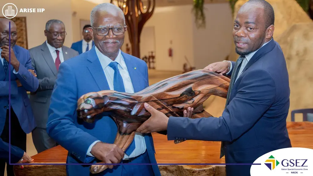 Gabon Ministers Explore Pharma, Wood Processing and Vocational Training Sectors at Nkok SEZ, Africa For Investors, Arise IIP SEZs