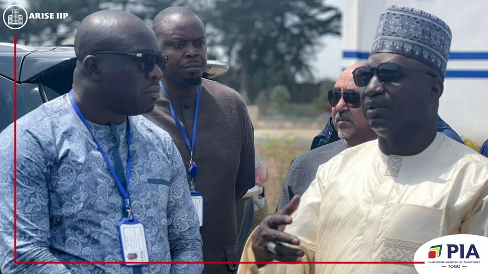 Niger delegation discuss strategic opportunities at PIA Togo, Africa For Investors, Arise IIP SEZs