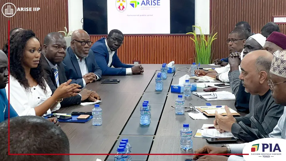 Niger delegation discuss strategic opportunities at PIA Togo, Africa For Investors, Arise IIP SEZs