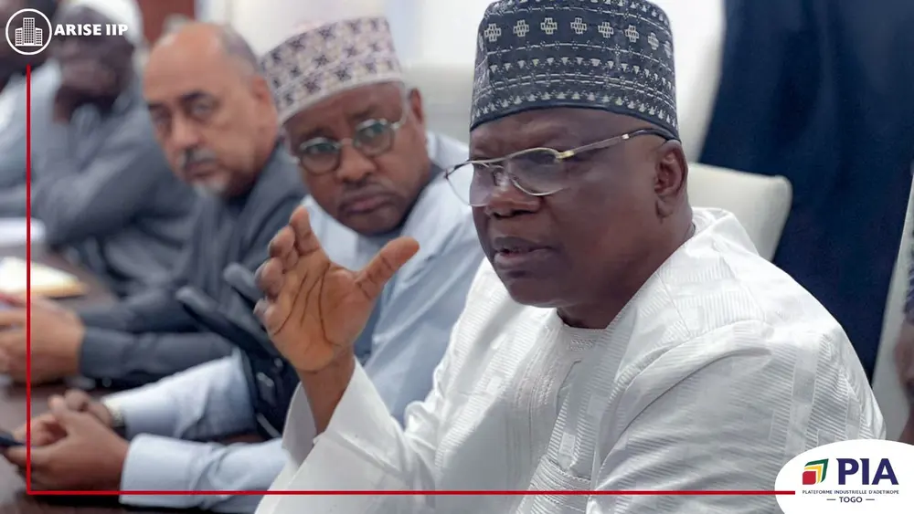 Niger delegation discuss strategic opportunities at PIA Togo, Africa For Investors, Arise IIP SEZs