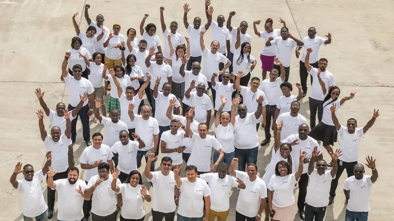 Arise IIP team and specialists contact info for business investment, Africa For Investors