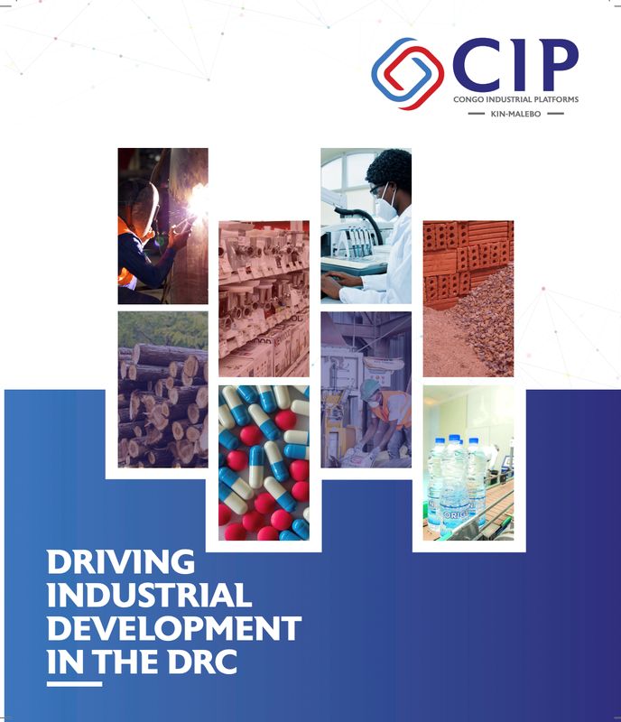 CIP Brochure, Arise IIP investment guides and documents