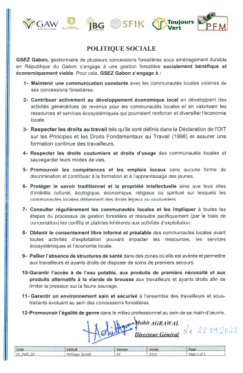 Social policy, Arise IIP investment guides and documents