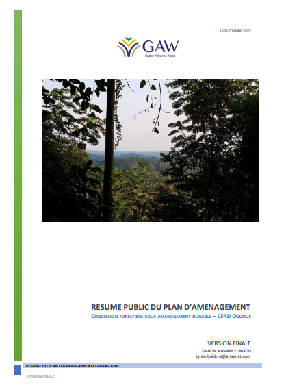 GAW PUBLIC ABSTRACT OF SFM, Arise IIP investment guides and documents