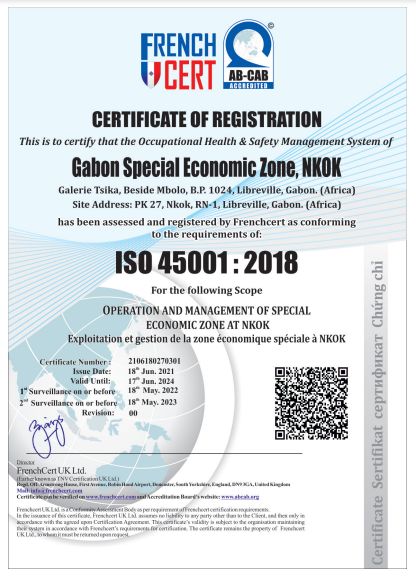 Certificate Of Registration ISO 45001:2018, Arise IIP investment guides and documents