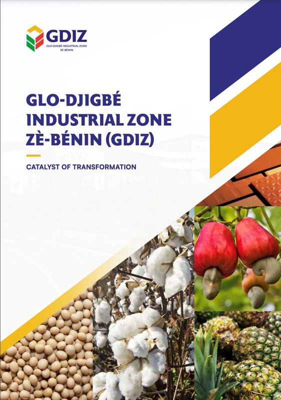 GDIZ Brochure, Arise IIP investment guides and documents