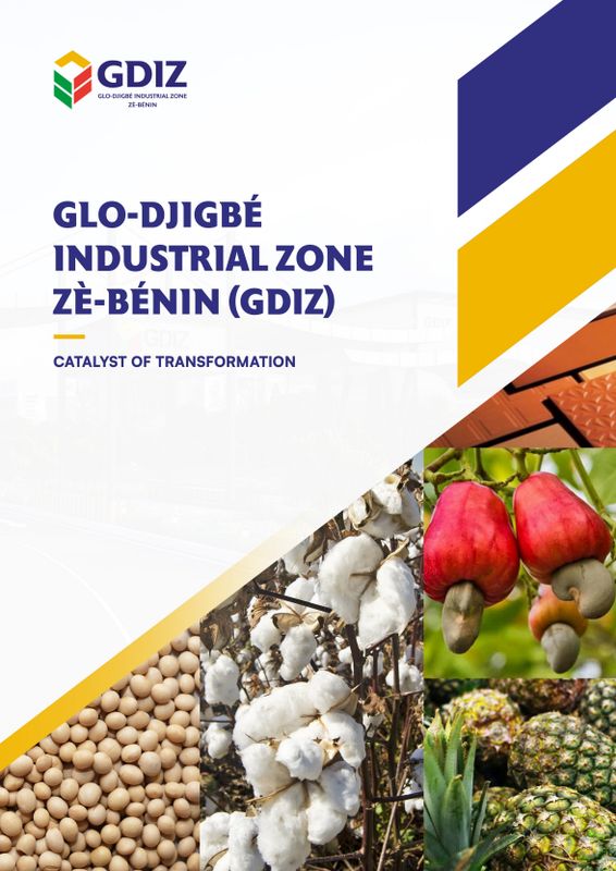 GDIZ Brochure 2025, Arise IIP investment guides and documents