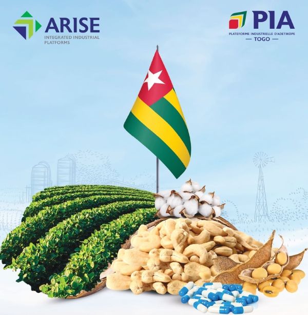 PIA Brochure – FR, Arise IIP investment guides and documents