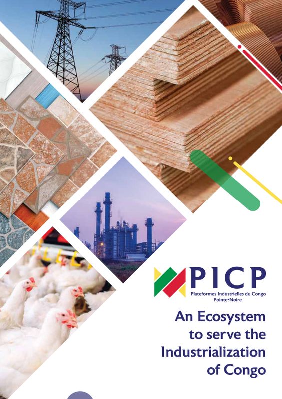 PIC Brochure, Arise IIP investment guides and documents