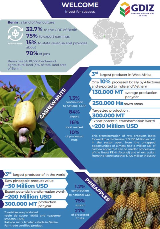 Processing Commodities, Arise IIP investment guides and documents