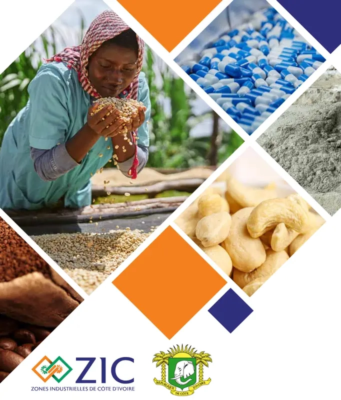 PEIA (Previously ZIC) Brochure 2024, Arise IIP investment guides and documents