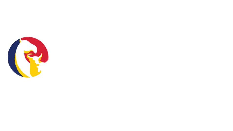 ZINDJAM logo, Special Economic Zone in Chad operated by Arise IIP, Africa For Investors