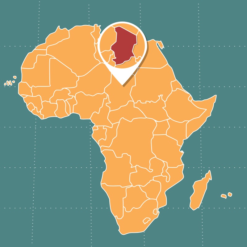 Meat Processing Business Investment in ZINDJAM, Chad, Africa, Industry Opportunities for Investors in Arise IIP SEZs, Special Economic Zones.