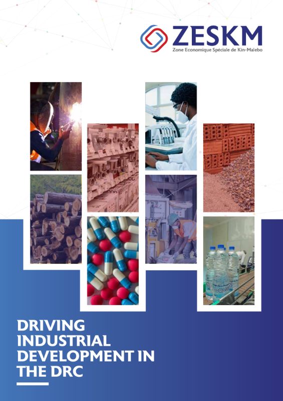 ZESKM Brochure (DRC), Arise IIP investment guides and documents